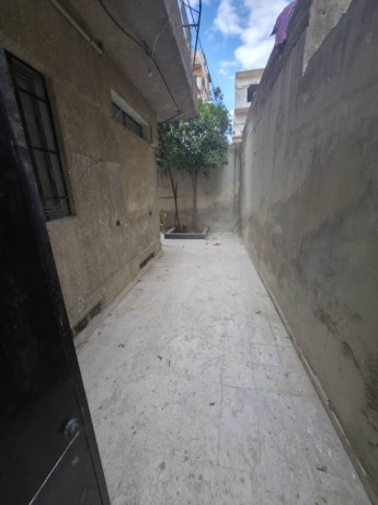 llbyaa-mn-almalk-mbashr-bmntk-skny-mkhdm-byt-ardy-tabo-akhdr-bmoasfat-mmtaz-big-1