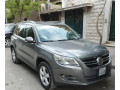 folks-fagn-tyghoan-2010-small-1