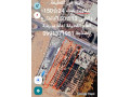 llbyaa-aakaryn-llbnaaa-fy-alktyf-ryf-dmshk-small-0