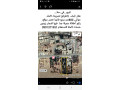 llbyaa-fy-hla-lktyf-aakar-llbnaaa-ryf-dmshk-small-0