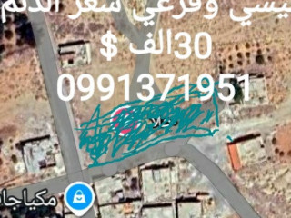 llbyaa-aakar-ost-hla-lktyf-ryf-dmshk