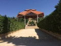 llbyaa-fyla-fy-kr-alsham-dmshk-small-1