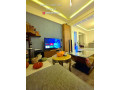 llbyaa-shk-fy-almalky-dmshk-small-1