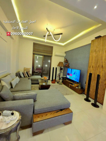llbyaa-shk-fy-almalky-dmshk-big-2