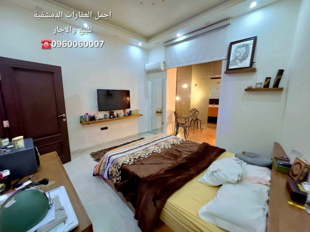 llbyaa-shk-fy-almalky-dmshk-big-6