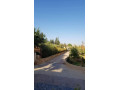 llbyaa-fyla-fy-gdyd-alshybany-ryf-dmshk-small-3