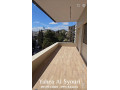 llbyaa-shk-fy-almalky-dmshk-small-0