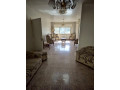 shk-llbyaa-fy-mshroaa-dmr-dmshk-small-6