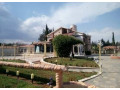 llbyaa-fyla-fy-mzraa-yaafor-dmshk-small-0