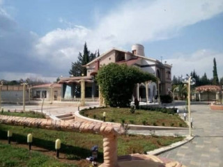 llbyaa-fyla-fy-mzraa-yaafor-dmshk