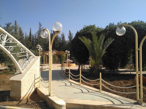 llbyaa-fyla-fy-mzraa-yaafor-dmshk-big-1