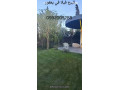 llbyaa-fyla-fy-yaafor-dmshk-small-2