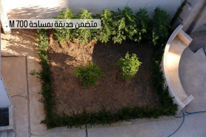 llbyaa-ao-llagar-alsnoy-bnaaa-bntham-fyla-btnthym-kfr-sos-fylat-dmshk-big-4