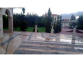 llbyaa-fyla-fy-drosha-alksor-ryf-dmshk-small-4