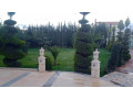 llbyaa-fyla-fy-drosha-alksor-ryf-dmshk-small-5