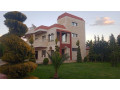 llbyaa-fyla-fy-drosha-alksor-ryf-dmshk-small-3