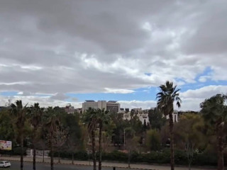 llbyaa-shk-skny-fy-almalky-dmshk
