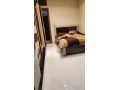 llbyaa-shk-fy-kdsya-dmshk-small-4