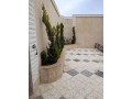 llbyaa-mzraa-maa-msbh-fy-hrsta-dmshk-small-1