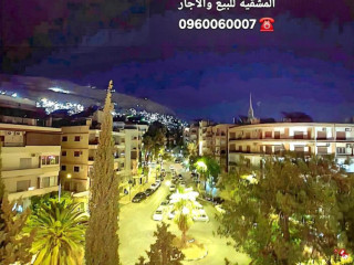 llbyaa-shk-fy-almalky-dmshk