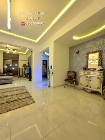 llbyaa-shk-fy-sah-aadnan-almalky-dmshk-big-1