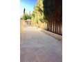 llbyaa-ksr-fy-gdyd-alshybany-aloady-ryf-dmshk-small-9