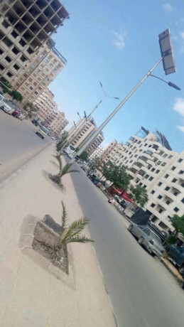 llbyaa-shk-fy-sharaa-alhnbly-dmshk-big-0