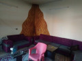llbyaa-mzraa-fy-alkso-dmshk-small-4