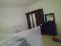 llbyaa-mzraa-fy-alkso-dmshk-small-5
