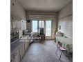 llbyaa-shk-fy-almalky-dmshk-small-2