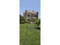 llbyaa-ksr-fy-alzbdany-krom-mdaya-ryf-dmshk-small-1