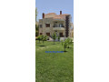 llbyaa-ksr-fy-alzbdany-krom-mdaya-ryf-dmshk-small-2