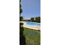 llbyaa-ksr-fy-alzbdany-krom-mdaya-ryf-dmshk-small-3