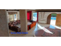 llbyaa-ksr-fy-alzbdany-krom-mdaya-ryf-dmshk-small-9