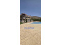 llbyaa-ksr-fy-alzbdany-krom-mdaya-ryf-dmshk-small-0
