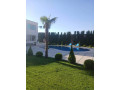 llbyaa-mzraa-fy-drosha-ryf-dmshk-small-4