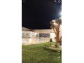 llbyaa-fyla-tryk-almtar-dmshk-small-3