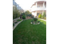 llbyaa-fyla-almlyh-tryk-almtar-dmshk-small-4