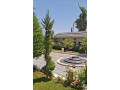 llbyaa-mzraa-drosha-ryf-dmshk-small-3