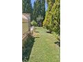 llbyaa-mzraa-drosha-ryf-dmshk-small-4