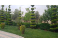 llbyaa-fyla-drosha-dmshk-small-2