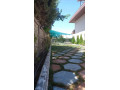 llbyaa-mzraa-tryk-almtar-dmshk-small-3