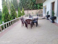 llbyaa-mzraa-tryk-almtar-dmshk-small-7