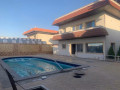 llbyaa-mzraa-tryk-almtar-dmshk-small-0