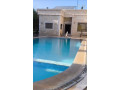 llbyaa-fyla-tryk-almtar-dmshk-small-3