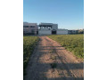 llbyaa-mzraa-tryk-almtar-dmshk-small-1