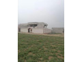 llbyaa-mzraa-tryk-almtar-dmshk-small-0