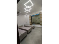 llbyaa-mzraa-tryk-almtar-dmshk-small-6