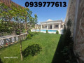 llbyaa-mzraa-tryk-almtar-dmshk-small-3