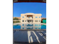 llbyaa-fyla-fy-shl-alzbdany-ryf-dmshk-small-0